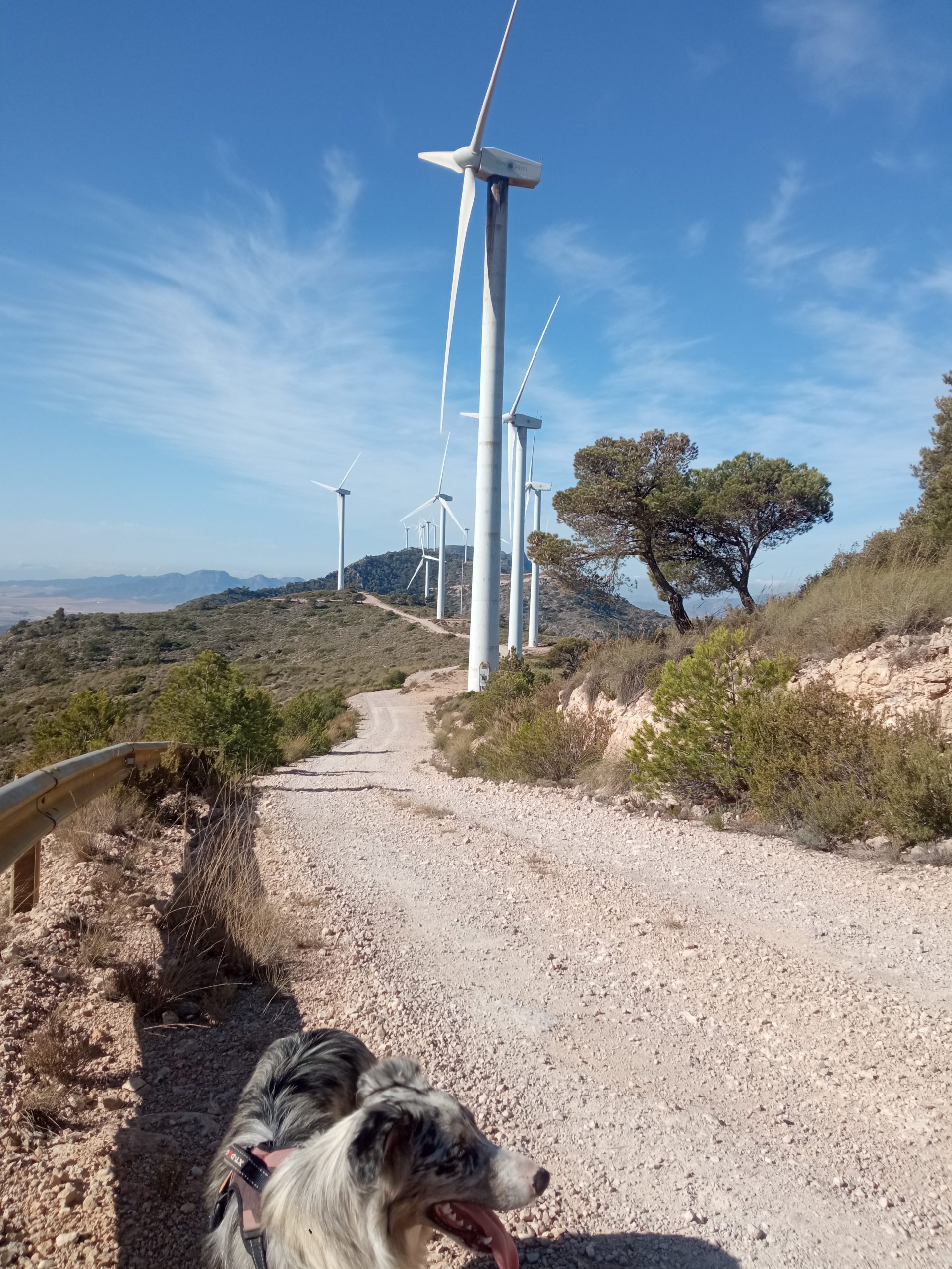 1763468416819 Scaled